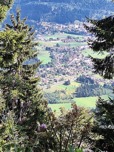 Wanderung der Naturfreunde - Mauthner Alm und Enzianhütte