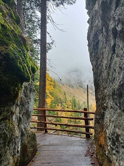 Wanderung der Naturfreunde - Islitzeralm