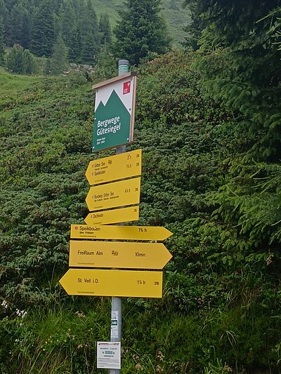 Wanderung der Naturfreunde - Speikbodenhütte - Speikboden