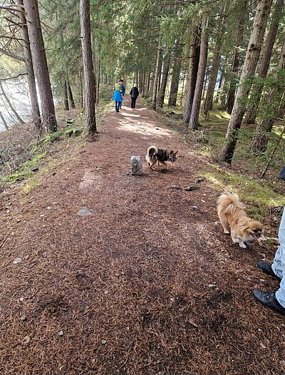 Rundwanderung der Naturfreunde - Lienz-Leisach-Amlach-Lienz