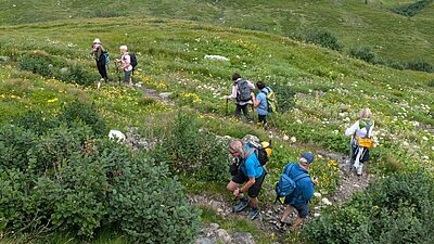 Wanderung der Naturfreunde - Zollnerseehütte - See - Kleiner Trieb