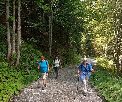 Wanderung der Naturfreunde - Mauthner Alm und Enzianhütte