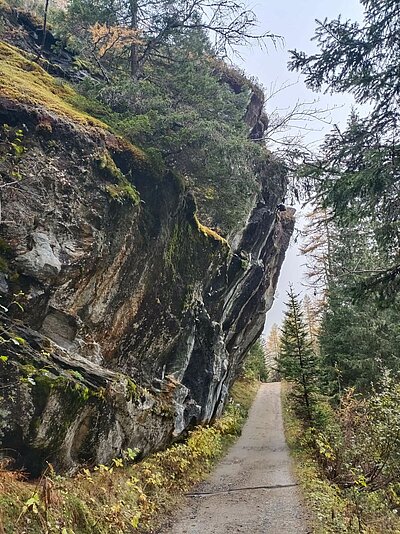 Wanderung der Naturfreunde - Islitzeralm