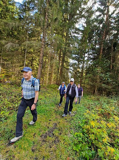 Wanderung der Naturfreunde - Römerweg Iselsberg