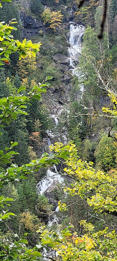 Wanderung der Naturfreunde - Lavant - Waldpfad und Kirchen