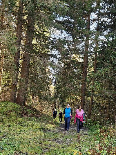 Wanderung der Naturfreunde - Römerweg Iselsberg