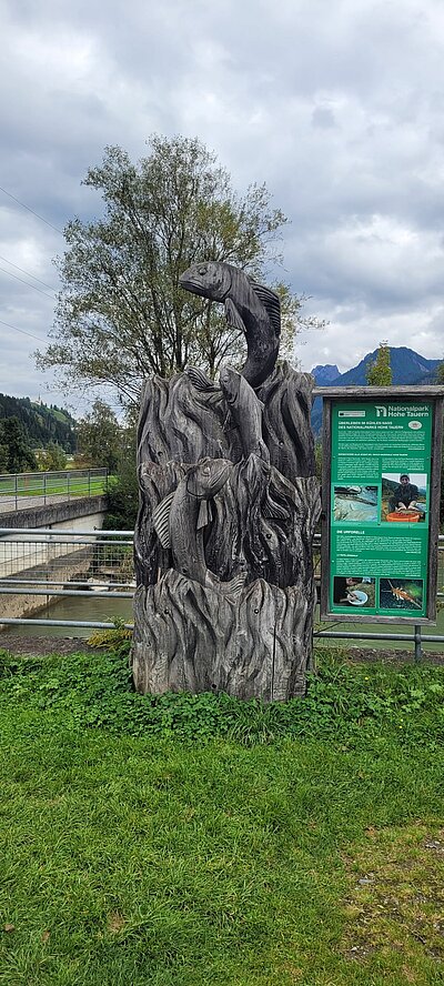 Wanderung der Naturfreunde - Kollreiderweg und Tassenbacher Stausee Umrundung