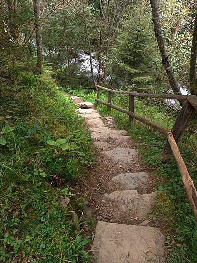 Wanderung der Naturfreunde - Hintersee im Flebertal