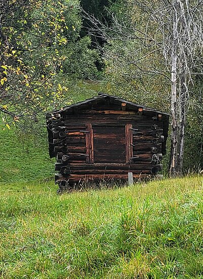 Wanderung der Naturfreunde - Kollreiderweg und Tassenbacher Stausee Umrundung