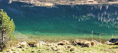 Rundwanderung der Naturfreunde - Staller Sattel-Obersee