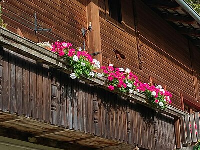 Wanderung der Naturfreunde - Vogelerlebnisweg Thurn