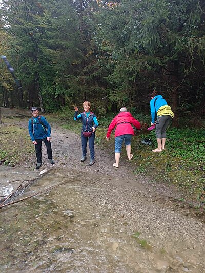 Wanderung der Naturfreunde - Lavant - Waldpfad und Kirchen