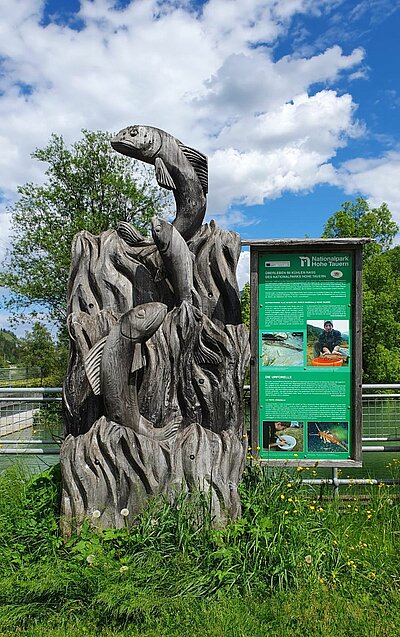 Radausflug der Naturfreunde zum Toblacher See