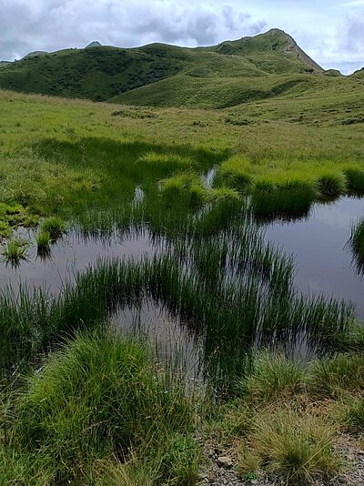 Wanderung der Naturfreunde - Zollnerseehütte - See - Kleiner Trieb