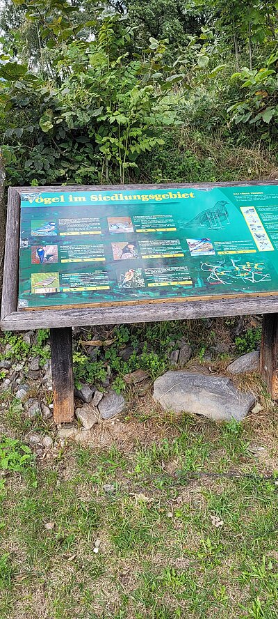 Wanderung der Naturfreunde - Vogelerlebnisweg Thurn