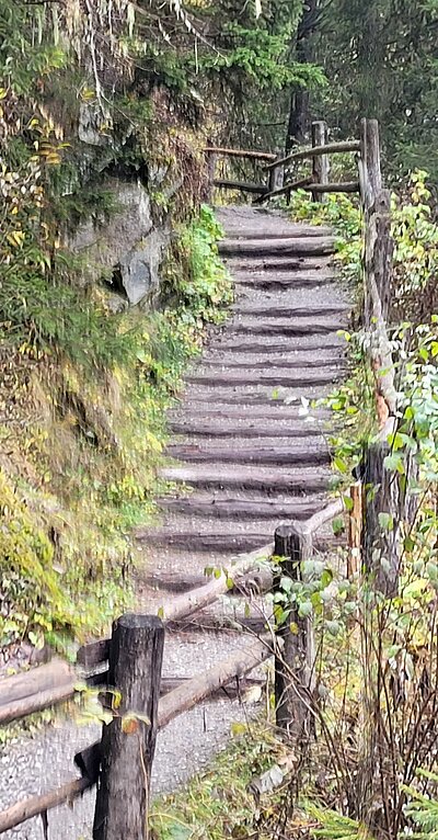 Wanderung der Naturfreunde - Islitzeralm