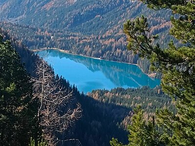 Rundwanderung der Naturfreunde - Staller Sattel-Obersee