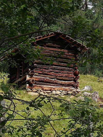 Naturfreunde - Wanderung zur Naturfreunde Hütte