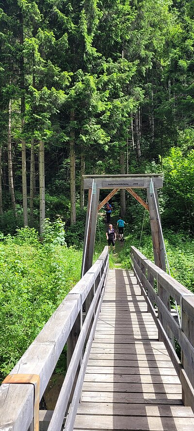 Wanderung der Naturfreunde - Iseltrail von Virgen nach Prägraten