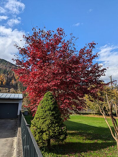 Rundwanderung der Naturfreunde - Lienz-Leisach-Amlach-Lienz