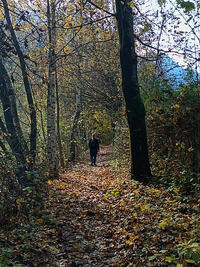 Rundwanderung der Naturfreunde - Lienz-Leisach-Amlach-Lienz