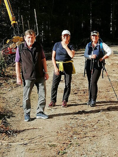 Wanderung der Naturfreunde - Römerweg Iselsberg