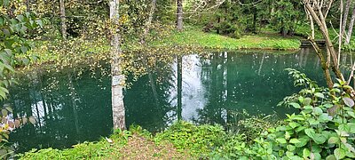 Wanderung der Naturfreunde - Kollreiderweg und Tassenbacher Stausee Umrundung