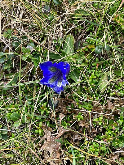 18. Seniorenwanderung der Naturfreunde - Thurntaler Runde