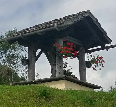 Wanderung der Naturfreunde - Mauthner Alm und Enzianhütte