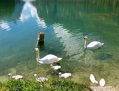 Radausflug der Naturfreunde zum Toblacher See