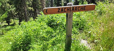 Wanderung der Naturfreunde - Winklerner Almsee - Strasskopf