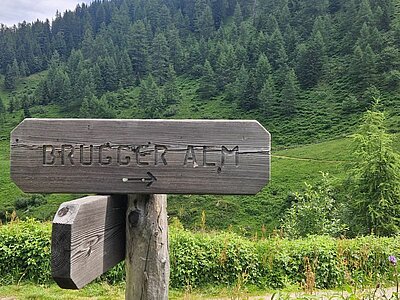 Naturfreunde - Wanderung Brugger Alm