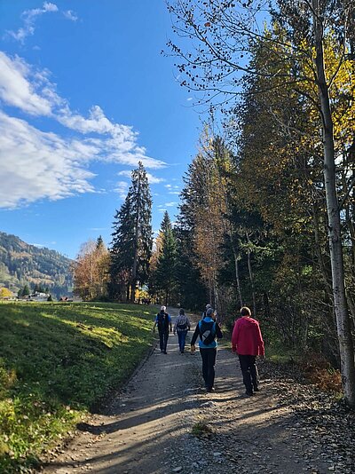 Wanderung der Naturfreunde - Römerweg Iselsberg