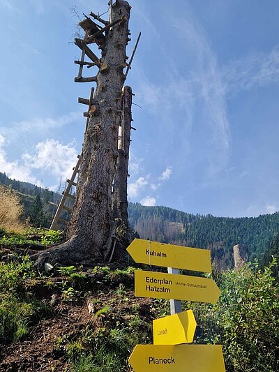 Wanderung der Naturfreunde - Lainacher Kuhalm - Ronahütte