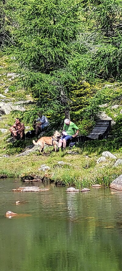 Wanderung der Naturfreunde - Winklerner Almsee - Strasskopf