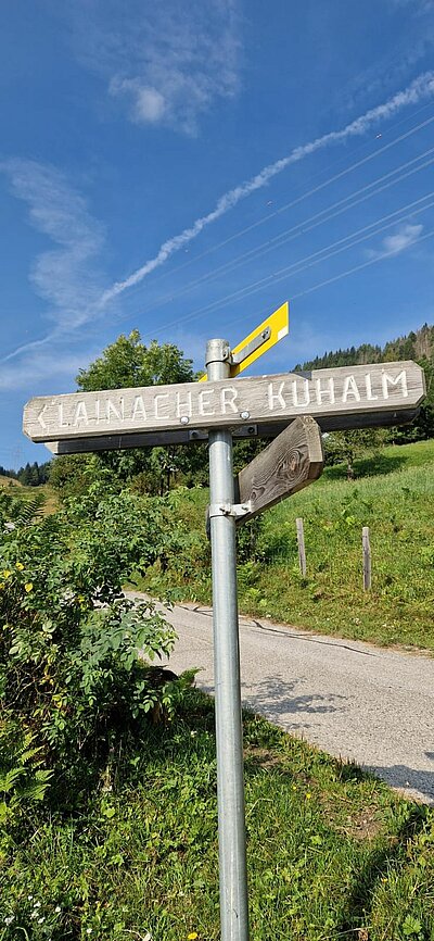 Wanderung der Naturfreunde - Lainacher Kuhalm - Ronahütte