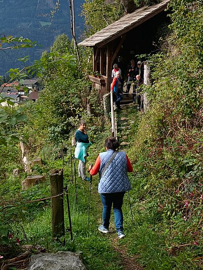 Wanderung der Naturfreunde - Vogelerlebnisweg Thurn