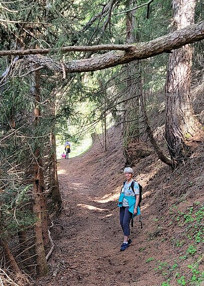 Wanderung der Naturfreunde - KALSER TALRUNDWEG (Abschnitt Hängebrücke, Felsenkapelle)