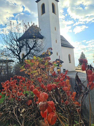 Wanderung der Naturfreunde - Römerweg Iselsberg