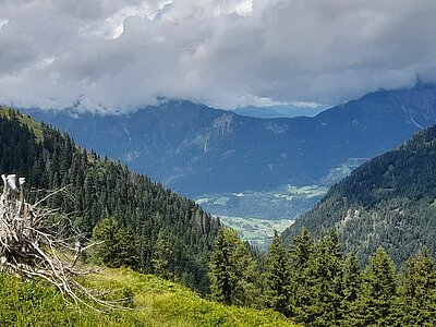 Wanderung der Naturfreunde - Zollnerseehütte - See - Kleiner Trieb