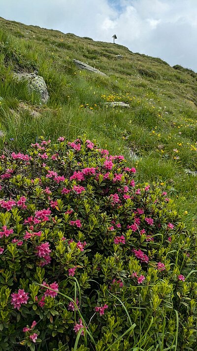 Wanderung der Naturfreunde - Speikbodenhütte - Speikboden