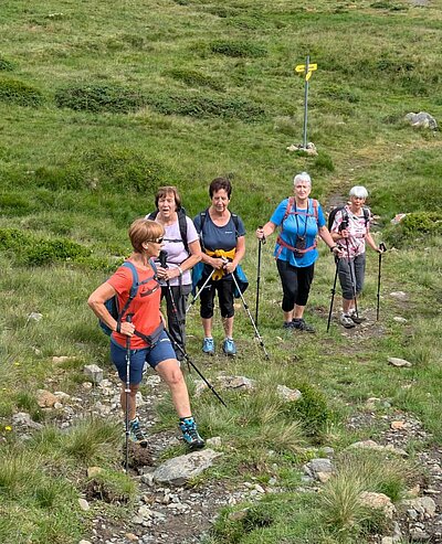 Wanderung der Naturfreunde - Zollnerseehütte - See - Kleiner Trieb