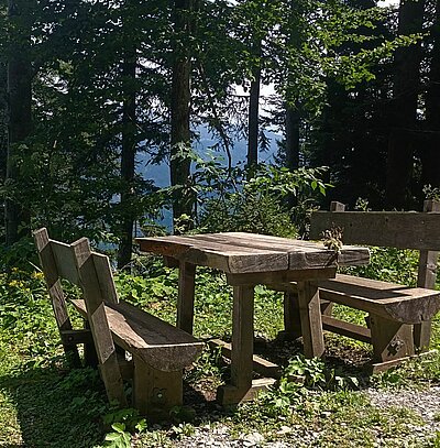 Wanderung der Naturfreunde - Mauthner Alm und Enzianhütte