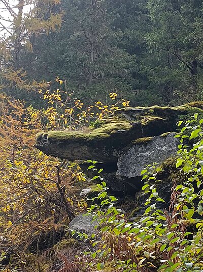 Wanderung der Naturfreunde - Islitzeralm