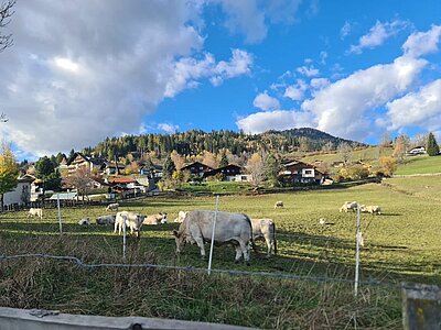 Wanderung der Naturfreunde - Römerweg Iselsberg