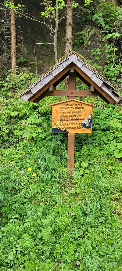 Wanderung der Naturfreunde - Sachsenburg