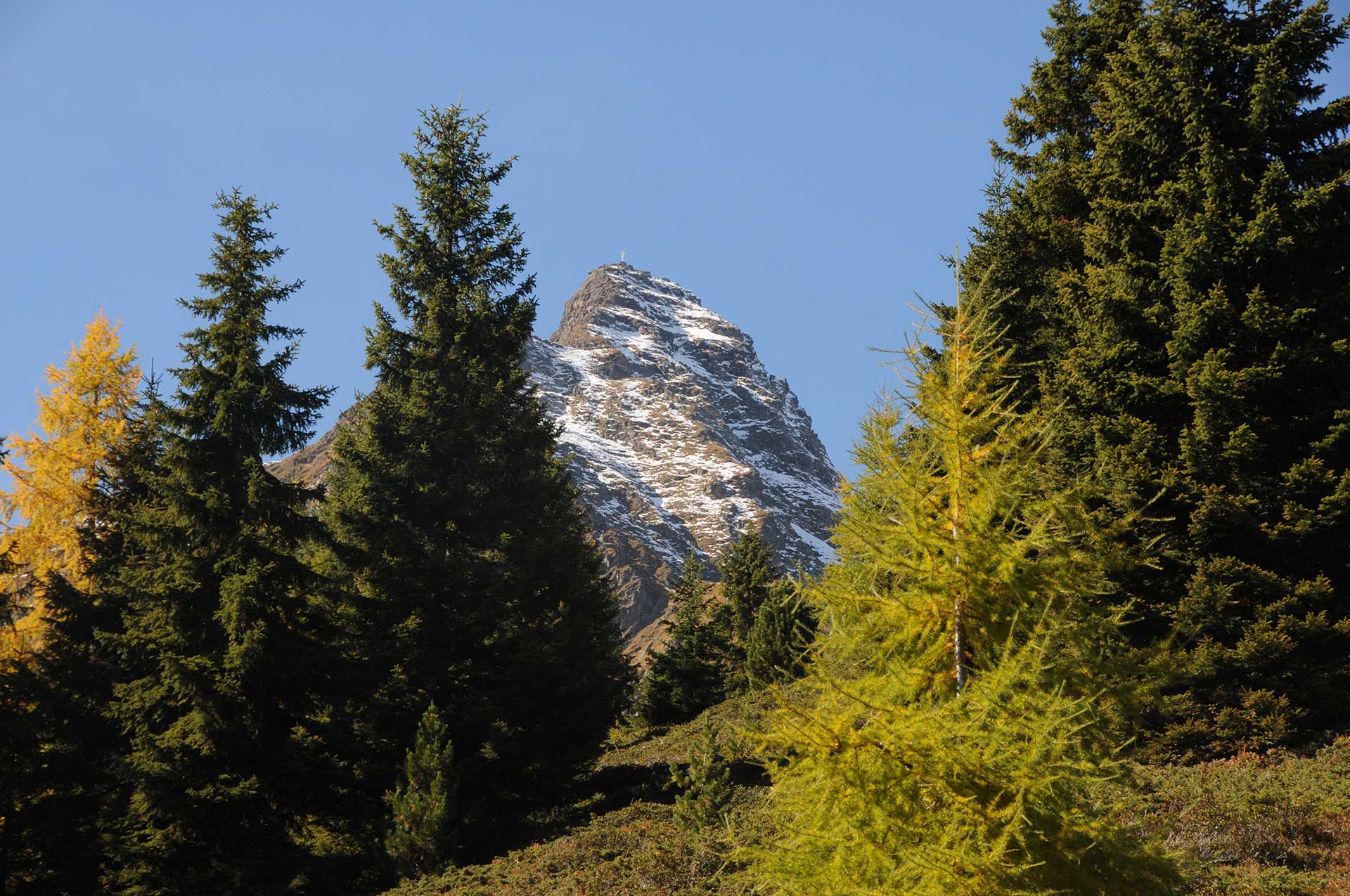 Herbststimmung Nußdorfer Alm