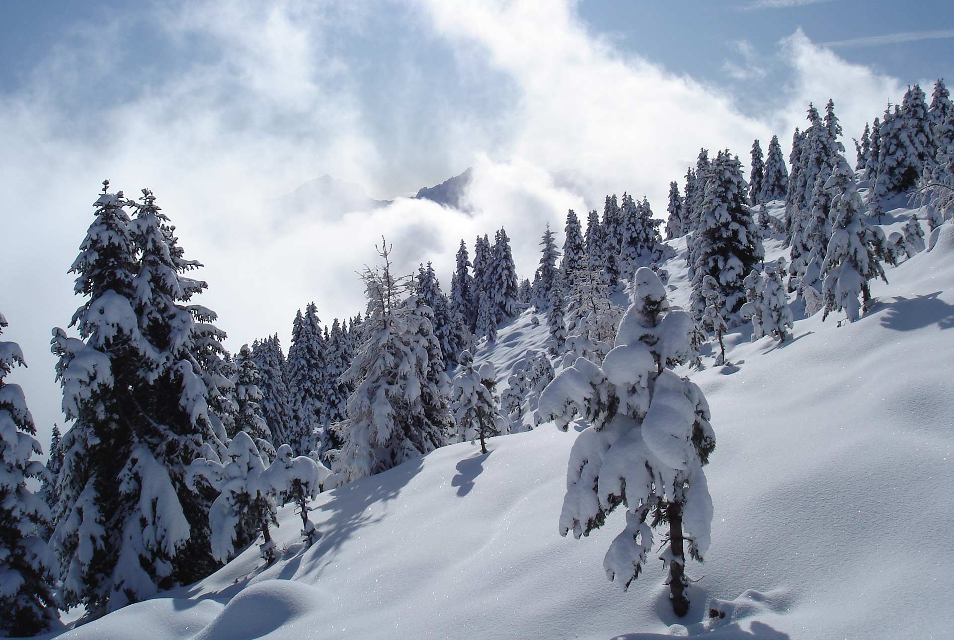 Winterlandschaft Winterlandschaft