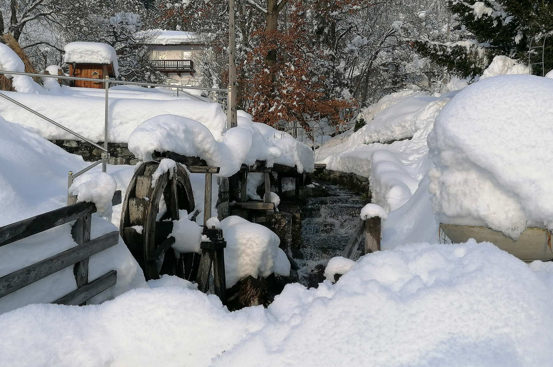 Dorfbach Nußdorf 2020 Dorfbach Nußdorf 2020