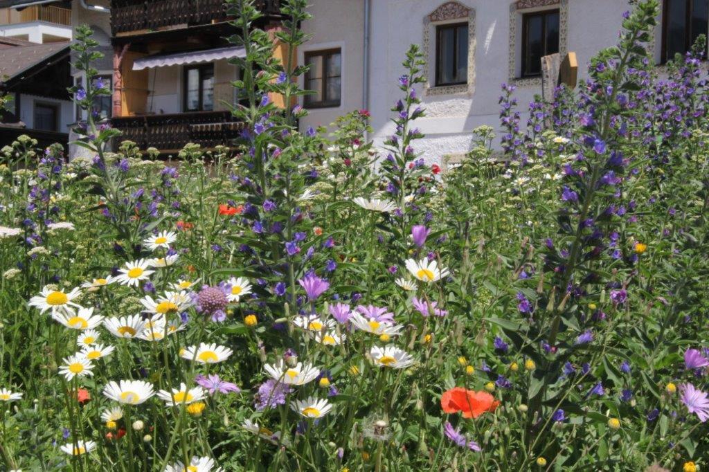 9. Osttiroler Gartentag